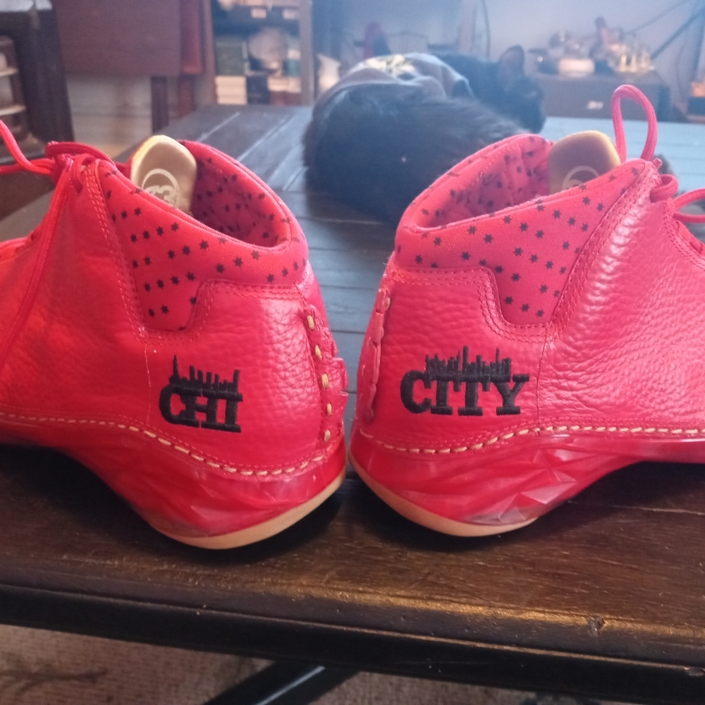Jordans 23 Chi City